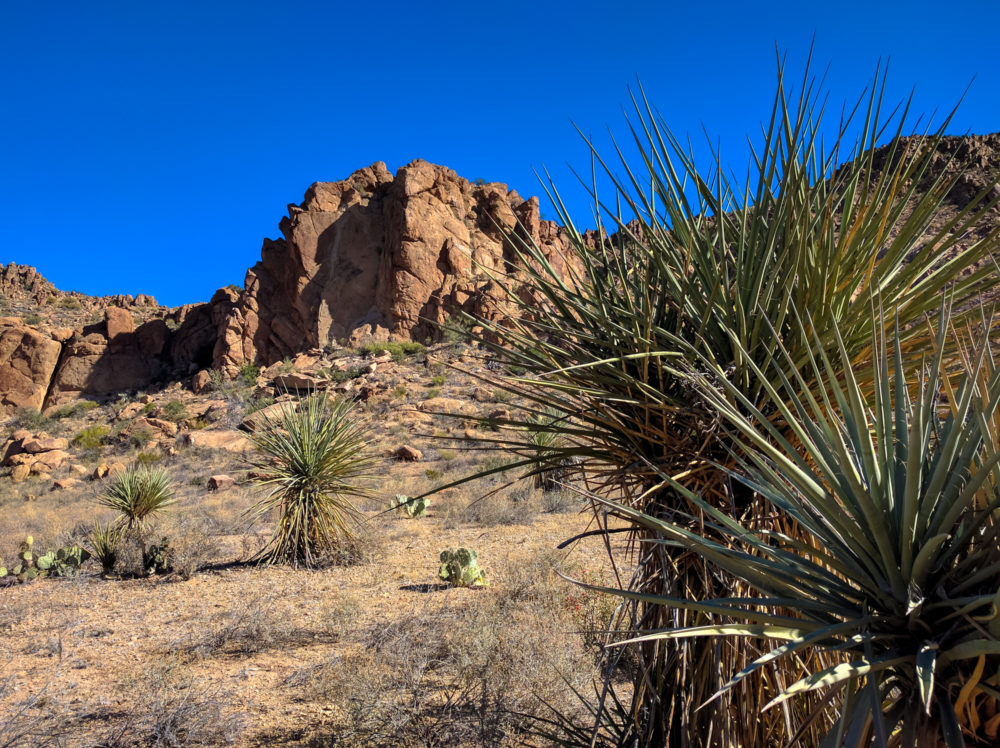 Grapevine Hills Trail