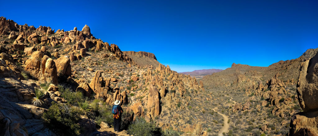 Grapevine Hills - looking back at the trail