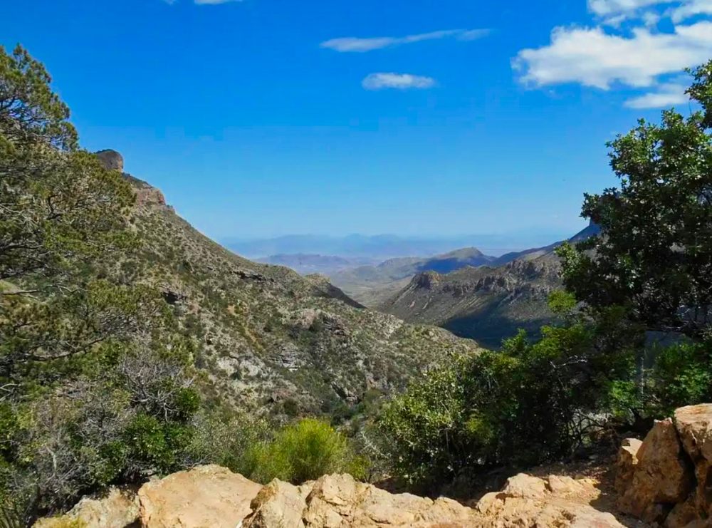 View from The Lost Mine Trail