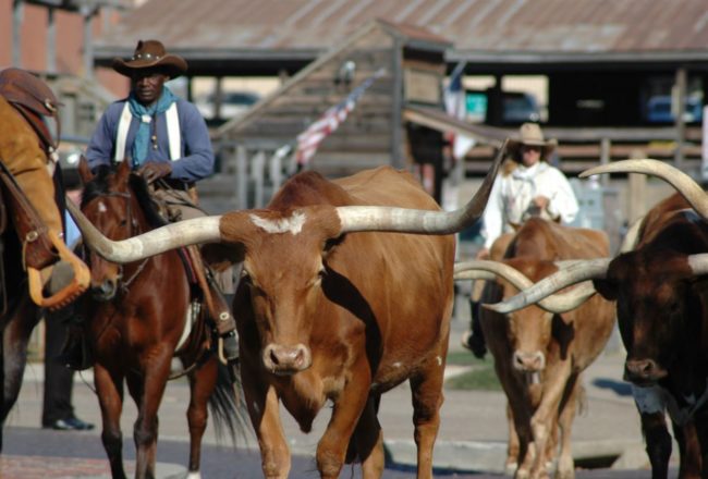 Stock Yards Dallas TX