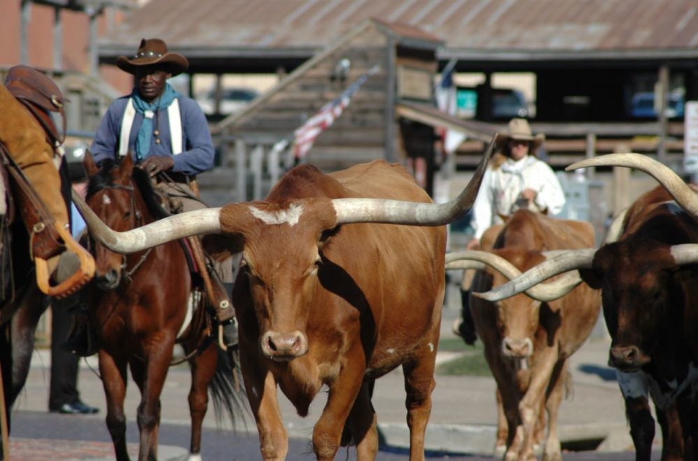 Stock Yards Dallas TX