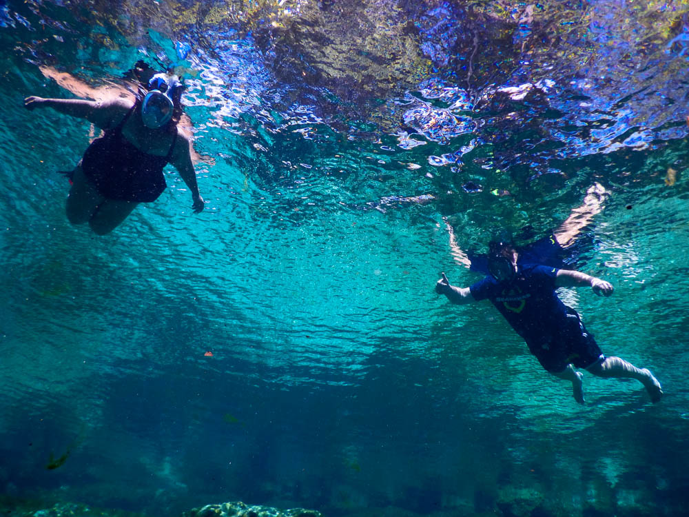 Snorkeling in the blue waters of Three Sister Spring