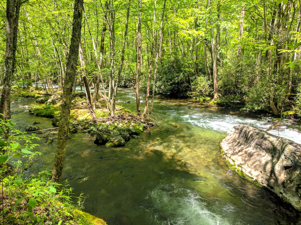 Lush and Green Little River