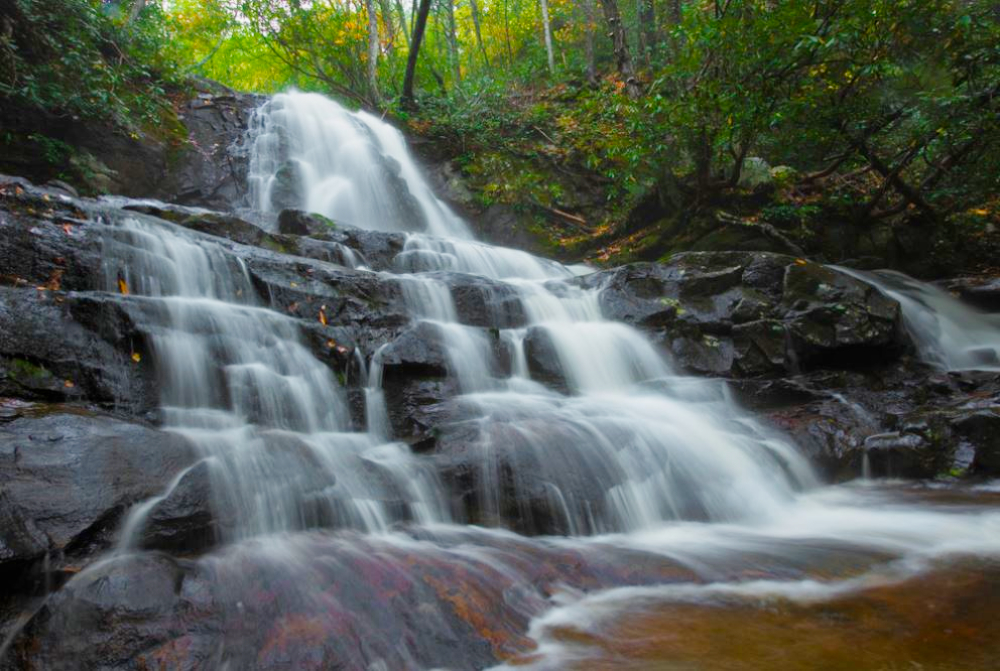 Laurel Falls