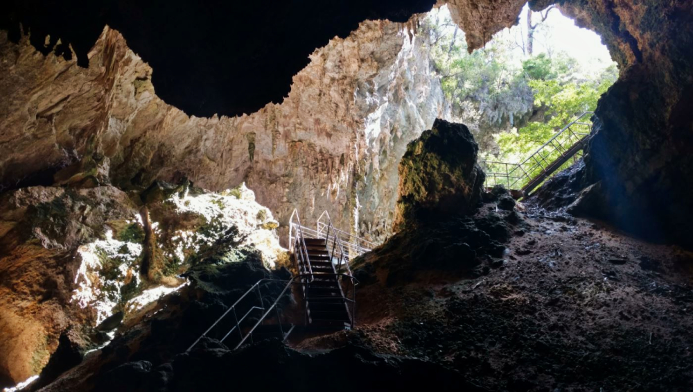 Mammoth Cave Historic Entrance Steps