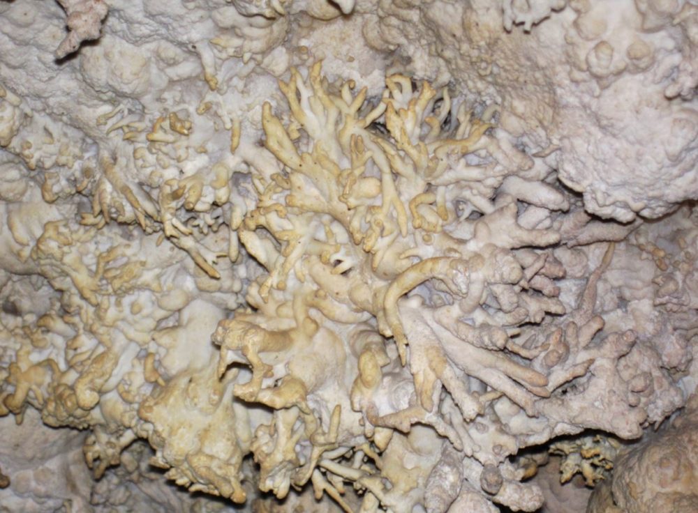 Great Onyx Cave Helictites
