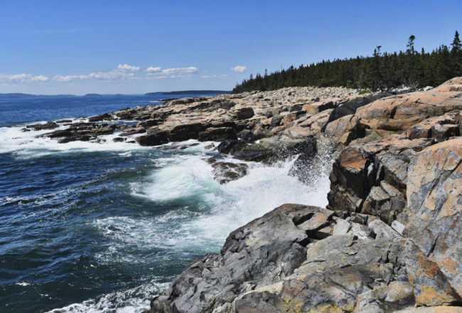 Rocky Coastline of Acadia