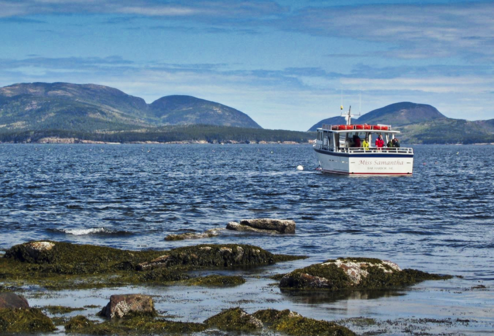 Boat Tour of Baker Island