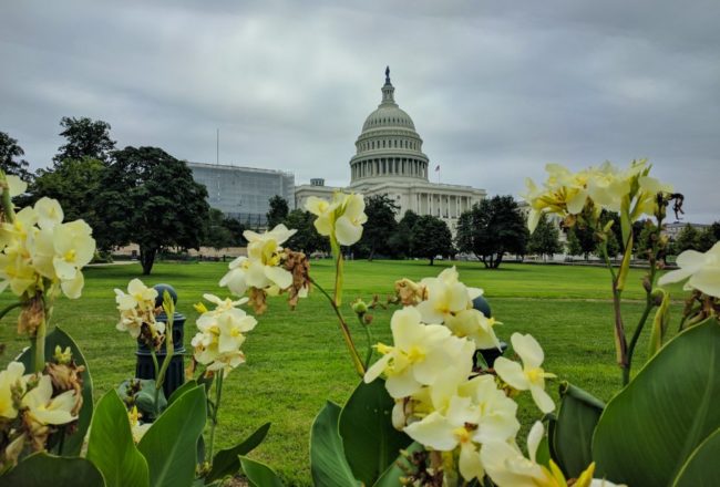 US Capitol