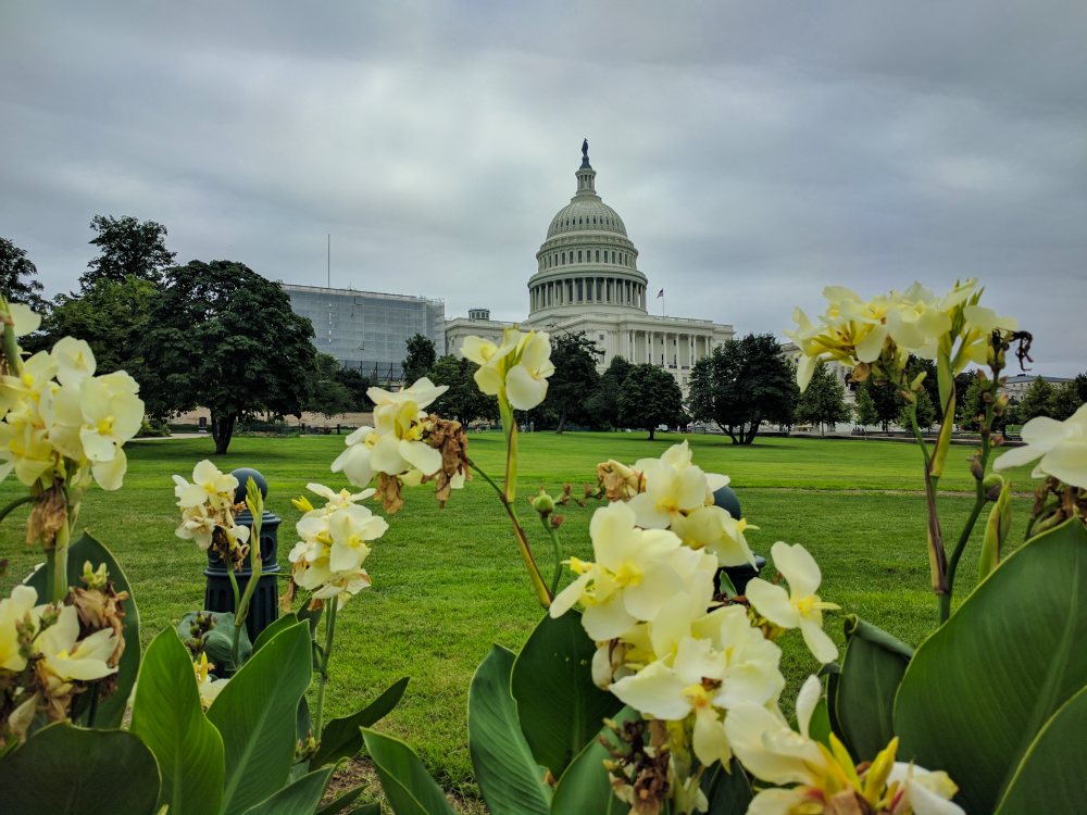 US Capitol